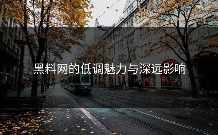 黑料网的低调魅力与深远影响  第1张
