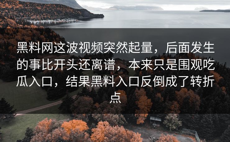 黑料网这波视频突然起量，后面发生的事比开头还离谱，本来只是围观吃瓜入口，结果黑料入口反倒成了转折点  第1张